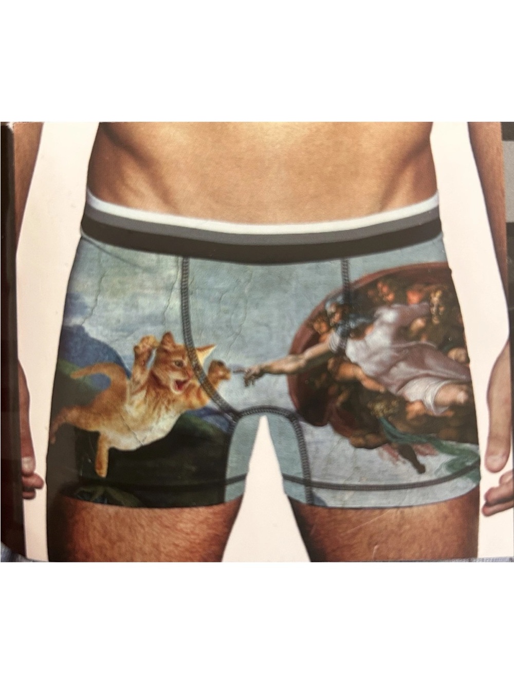 Zeus And cat Boxers NWT SIZE XXL 44-46